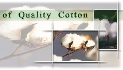 house of quality cotton